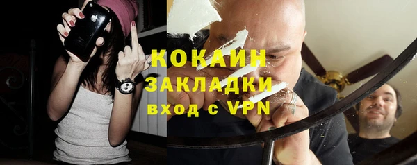 мдпв Богородицк