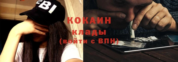 мдпв Богородицк