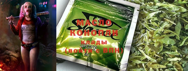 мдпв Богородицк