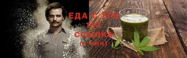 мдпв Богородицк